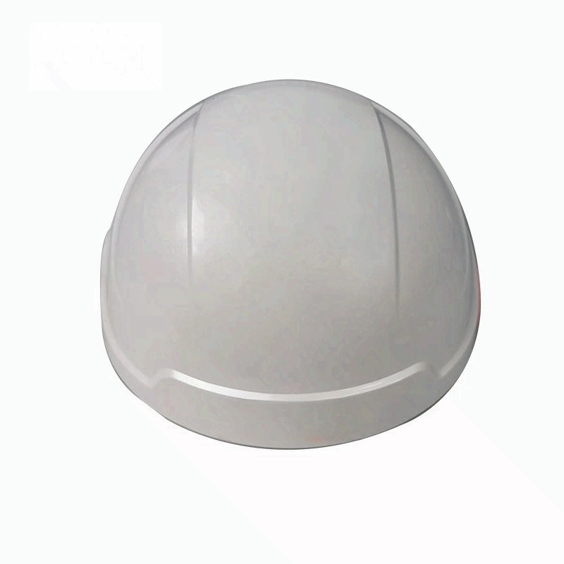 Scalp Care Hair Regrowth Helme - đánh giá và giá Hair Care Lab